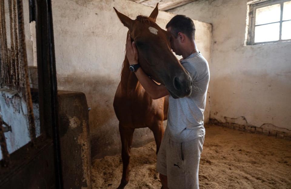 Horse farm outside of Mykolaiv where they run a therapy program for soldiers with PTSD.