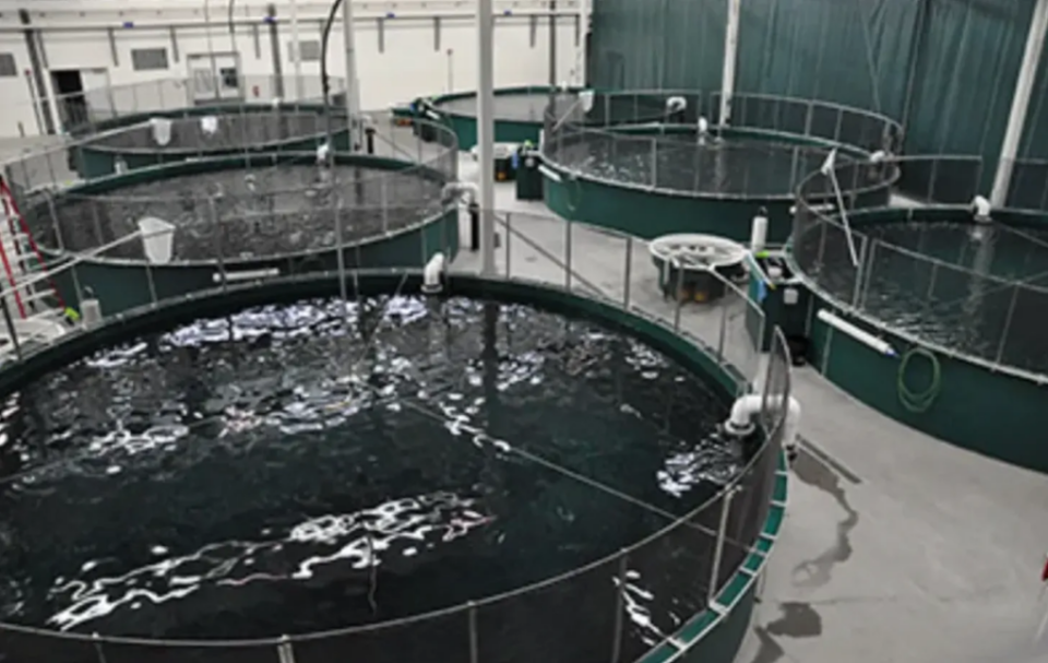 A state-run fish hatchery in Anchorage. (Alaska Department of Fish and Game photo)