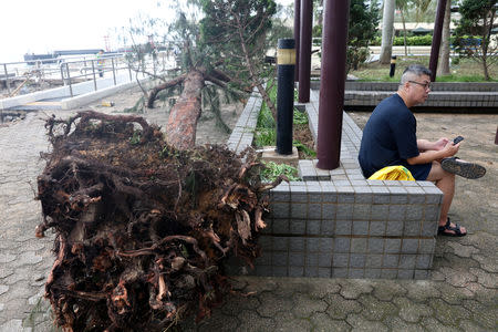 A man rests beside a fallen tree after Typhoon Mangkhut hit Hong Kong, China September 17, 2018. REUTERS/Ken Tung