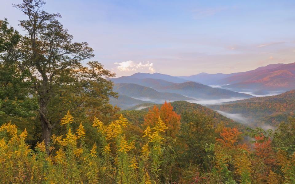 Black Mountain, North Carolina