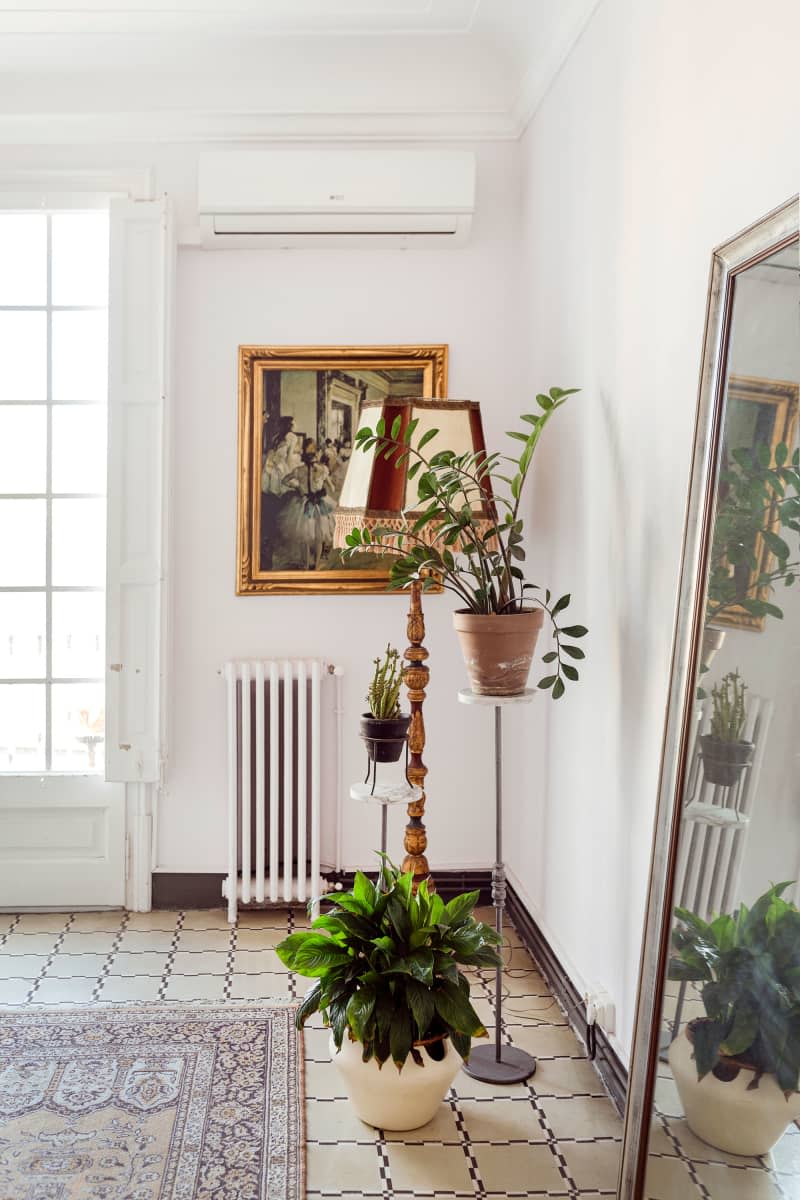 Corner view of white living area with floor lamp and potted plants.