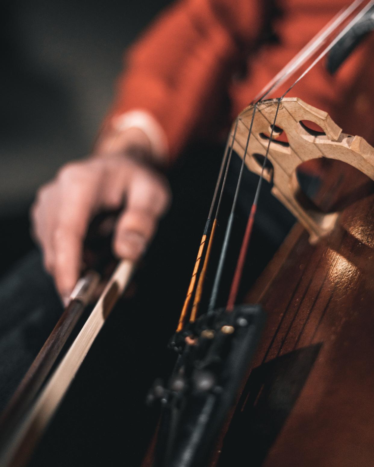 <span class="caption">La musique peut nous donner la chair de poule. </span> <span class="attribution"><a class="link " href="https://www.pexels.com/fr-fr/photo/personne-jouant-de-l-instrument-a-cordes-2228466/" rel="nofollow noopener" target="_blank" data-ylk="slk:Pexels;elm:context_link;itc:0;sec:content-canvas">Pexels</a></span>