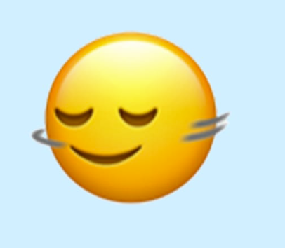 head shaking horizontally emoji