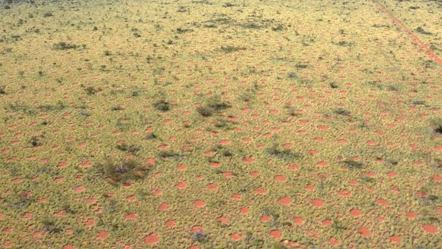 Mysterious Fairy Circles Pop Up In Western Australia