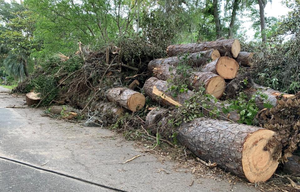 More than a week after the May 10 storms and tornadoes, tree trunks, limbs and other detritus is piled on Tallahassee and Leon County roadsides, 7-8 feet high in some places, as seen here in the Indianhead neighborhood, Tuesday, May 21, 2024.