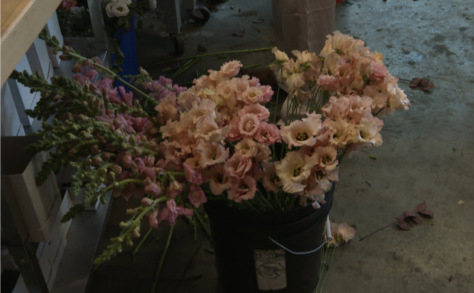 Fresh flowers are ready to become Valentine's Day bouquets at She Loves Me in Washington, D.C. / Credit: Sarah Ewall-Wice / CBS News