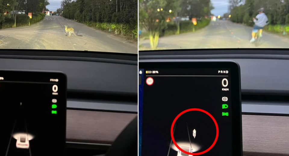 A kangaroo on the road is not flagged on the Tesla Vision internal screen (left) but a cyclist on the road comes up on the screen (right).  
