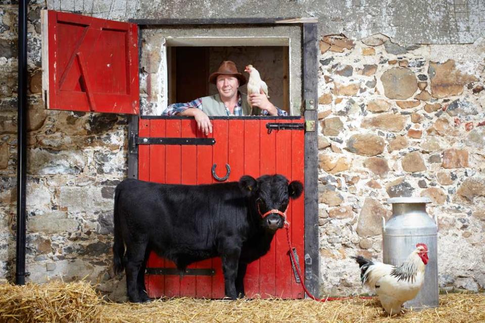 Archie, the world's Shortest Bull at 30 inches (76.2 cm) from hoof to withers (Picture: Paul Michael Hughes/Guinness World)