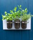 <p> An easy craft project like this looks fabulous and, if you use recycled jars, is good for the environment, too. </p> <p> As it doesn&apos;t take up any floor space, it&apos;s a good idea for smaller plots and&#xA0;balcony gardens. Plus, it looks super modern and is a great way to add interest to a blank wall. To make it, you&apos;ll need some hose clamps, some screws to secure them, washed-out glass jars, a piece of board, and a hook for hanging it up. The experts at&#xA0;Trex&#xA0;suggest this project as a good way of recycling their composite decking samples. </p> <p> And if you&apos;re not keen on the minimal look, you could always spray paint the exterior of the jars &#x2013; perhaps in a bright white for a Scandi-chic aesthetic, or for a touch of luxe, a cool copper. </p>