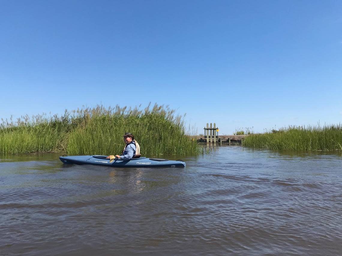 Lowcountry inventiveness: Kayaker Scott Hansen of Seabrook paddles past a “trunk gate” marking a place in the artificial embankment of a flooded field along the Combahee River. Water sluice gates such as these are found all along the waterways of the Lowcountry and date back to a time when riverbanks were cultivated for rice, a once profitable plantation crop. Today, fields such as these are flooded and used for waterfowl.