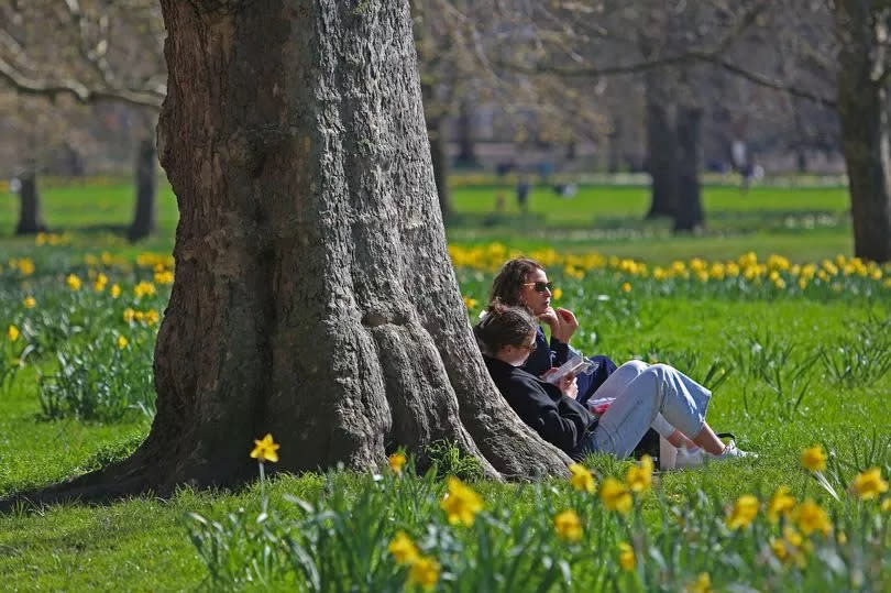 Woman sitting in park