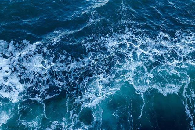 Beber agua de mar: Beneficios y cómo beberla sin riesgo