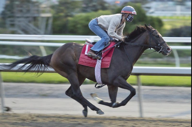 Lucky Score is one of three starters for trainer Mark Casse in Saturday's $1 million Woodbine Mile, a Breeders' Cup "Win and You're In" race. Photo by Michael Burns, courtesy of Woodbine