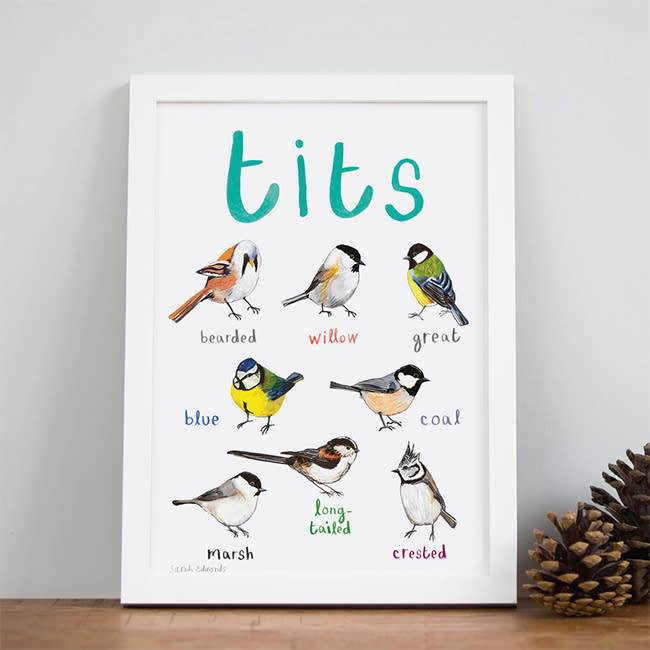 tits-poster