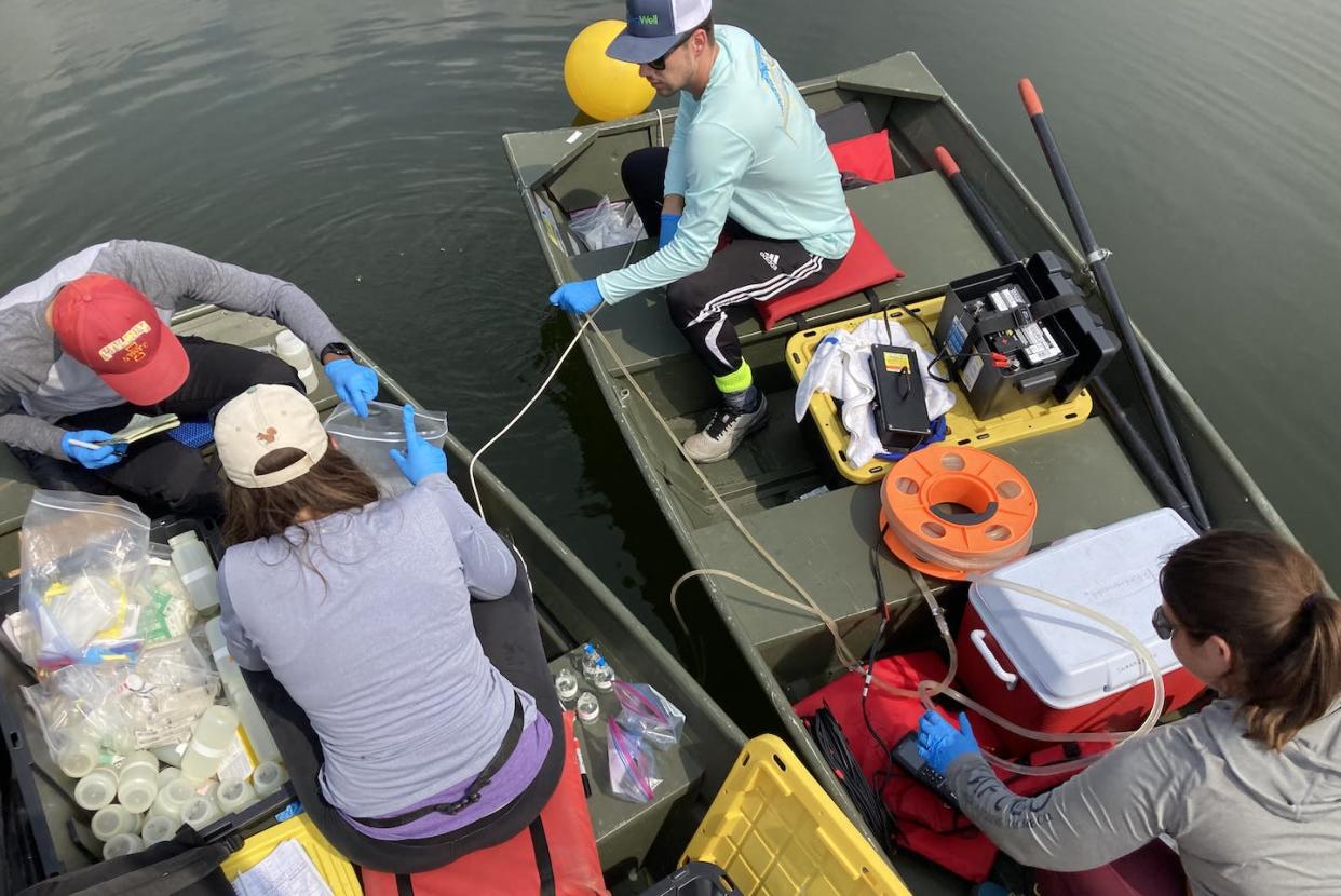 Researchers sample water from various layers to analyze back in the lab. Elizabeth Swanner, <a href="http://creativecommons.org/licenses/by-nd/4.0/" rel="nofollow noopener" target="_blank" data-ylk="slk:CC BY-ND;elm:context_link;itc:0;sec:content-canvas" class="link ">CC BY-ND</a>