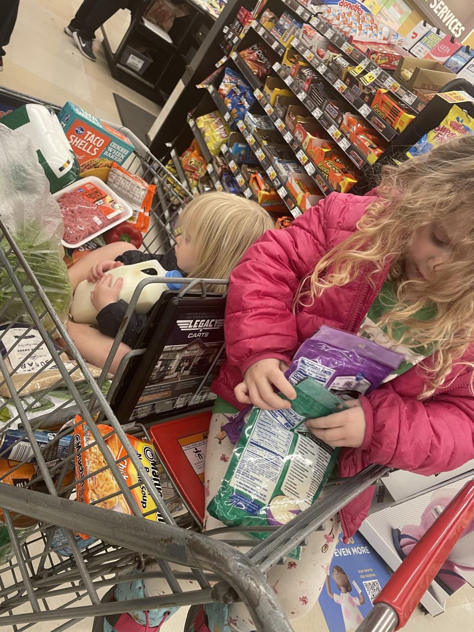 the author's children in the grocery cart