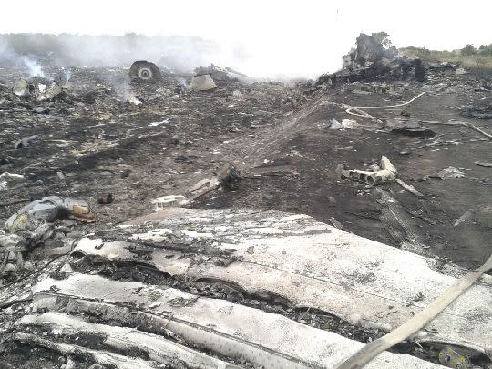 A general view shows part of the wreckage of Malaysia Airlines flight MH17 in the Donetsk region, near the Ukrainian border with Russia. - Reuters pic, July 17, 2014.