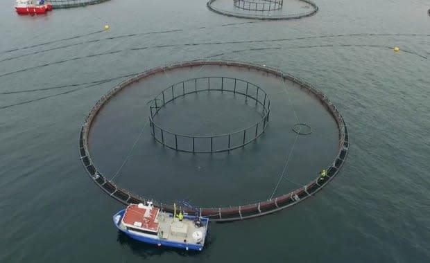 A Norwegian company will develop state-of-the-art ocean sensors that allow open-net pens to be monitored and managed remotely from shore. (Aqua Maof Group/Submitted - image credit)