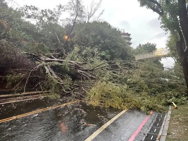 &#x00516b;&#x005366;&#x005c71;&#x005929;&#x007a7a;&#x006b65;&#x009053;&#x009644;&#x008fd1;&#x006709;&#x008def;&#x006a39;&#x005012;&#x00584c;&#x003002;&#x00ff08;&#x005716;&#x00ff0f;&#x007ffb;&#x00651d;&#x00756b;&#x009762;&#x00ff09;