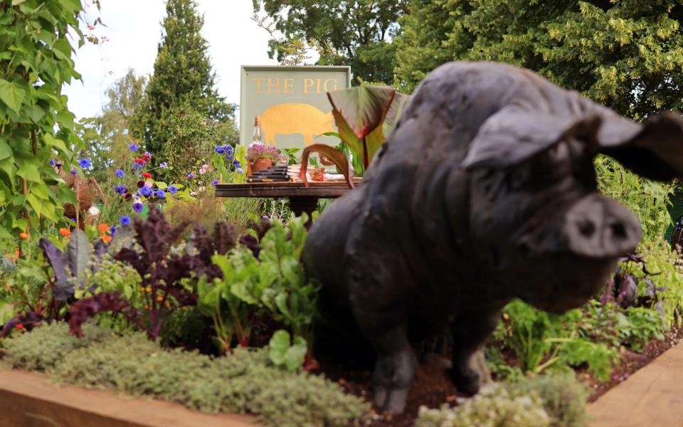 RHS Hampton Court Palace Garden Festival allotments winners - Oliver Dixon