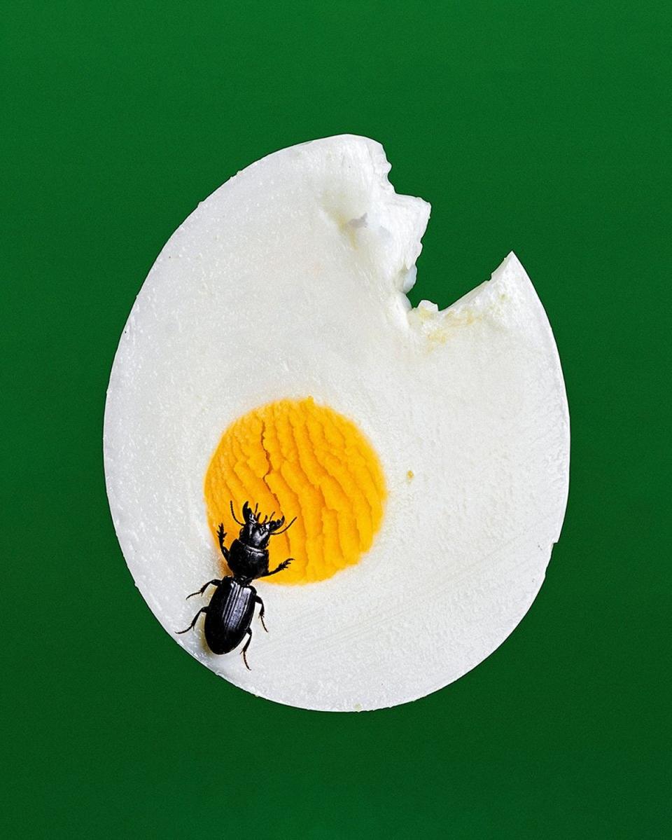 Bobby Doherty, ‘Bug Egg’, 2018 (Photo by Bobby Doherty)