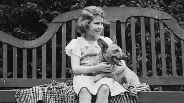 PHOTO: Princess Elizabeth, the future Queen Elizabeth II, with a Pembroke Welsh corgi dog sitting on a bench at her home in London, in July 1936. (Lisa Sheridan/Hulton Archive/Getty Images)
