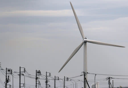 FILE PHOTO - A wind turbine is seen behind utility poles in Tokyo, July 27, 2011. REUTERS/Kim Kyung-Hoon/File Photo