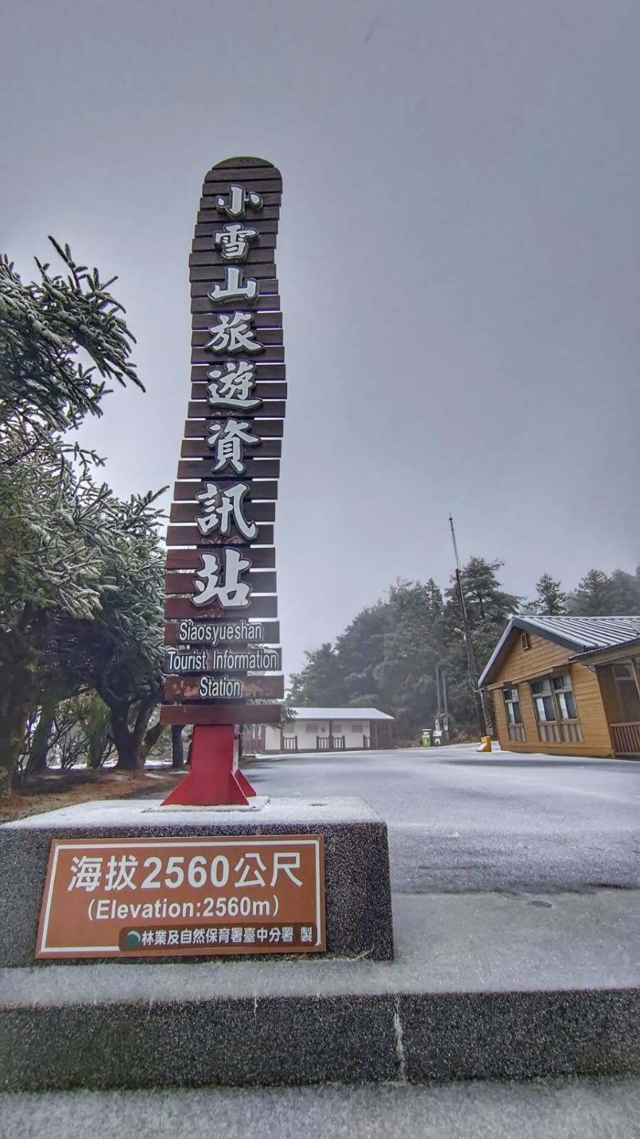 大雪山今日清晨6點多下雪，49k積雪。林業及自然保育署南投分署提供