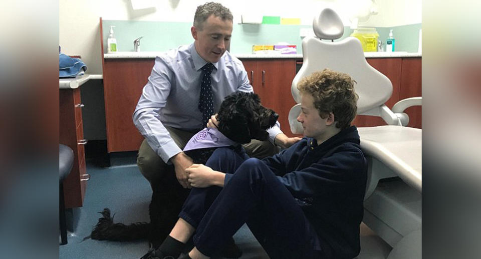 Dr Dan Ford and Comet (pictured) calm young dental patients at the Paediatric Dental Group