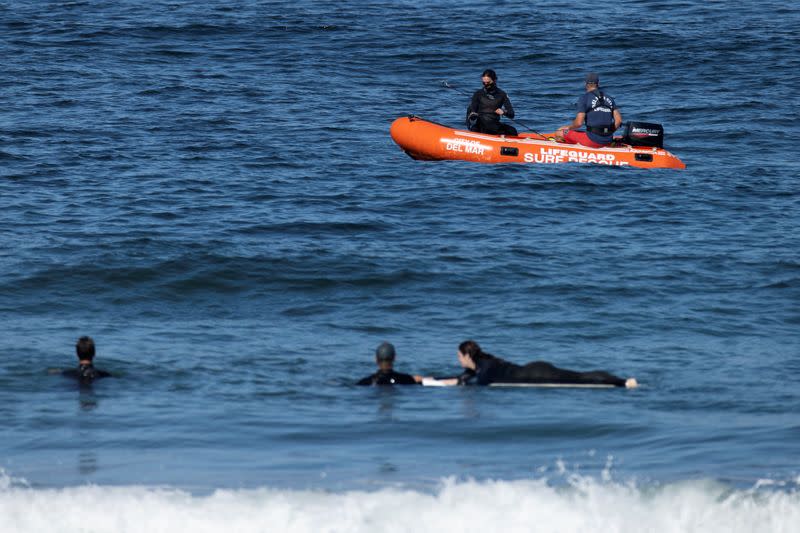 Marine biologists from Cal State Lone Beach Shark Lab study sharks along the California coast