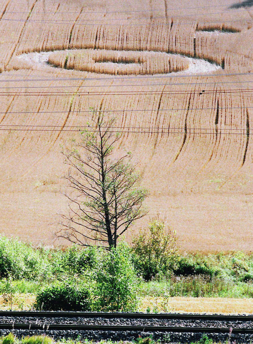 Corn circles, large round indentations in fields of crops, have appeared in the Helsinki suburb of Espoo, a newspaper reported September 21. Agronomist, at Soderskog Manor where the rings were found, Birger Nyalm said " the patterns were made from the air. The field around them was completely untouched". Picture taken September 20. (Reuters/STR New)