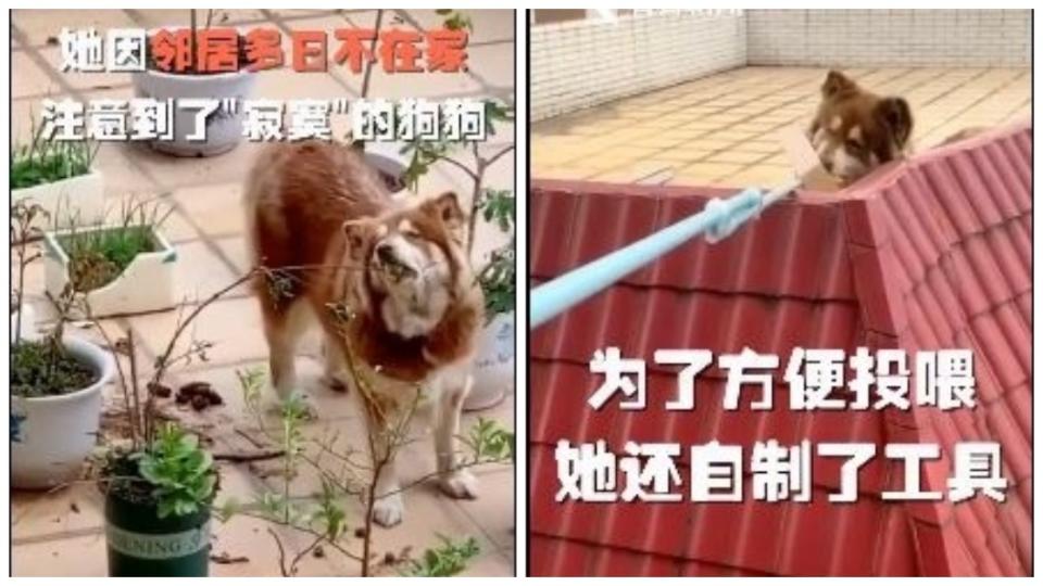 1名女網友發現隔壁鄰居家的狗沒人餵食，於是就自製工具幫忙餵食。(圖／翻攝自微博)