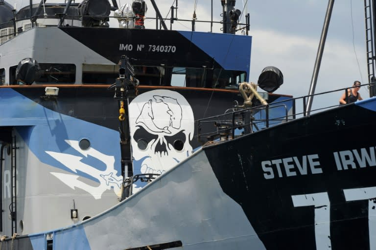 Environmental activist group Sea Shepherd's flagship Steve Irwin left Western Australia for the remote Southern Ocean on January 18, 2016, to chase and disrupt the annual Japanese whaling hunt