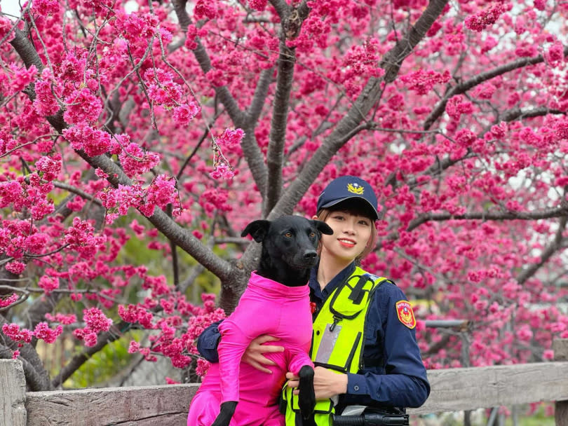 正妹女警搭上櫻花與狗，吸引粉絲朝聖。（圖／翻攝自臺中市政府警察局大甲分局臉書）