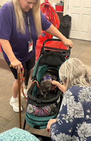 <p>Courtesy of Juanita Mengel</p> Juanita Mengel and Lola Pearl the cat during a therapy pet visit