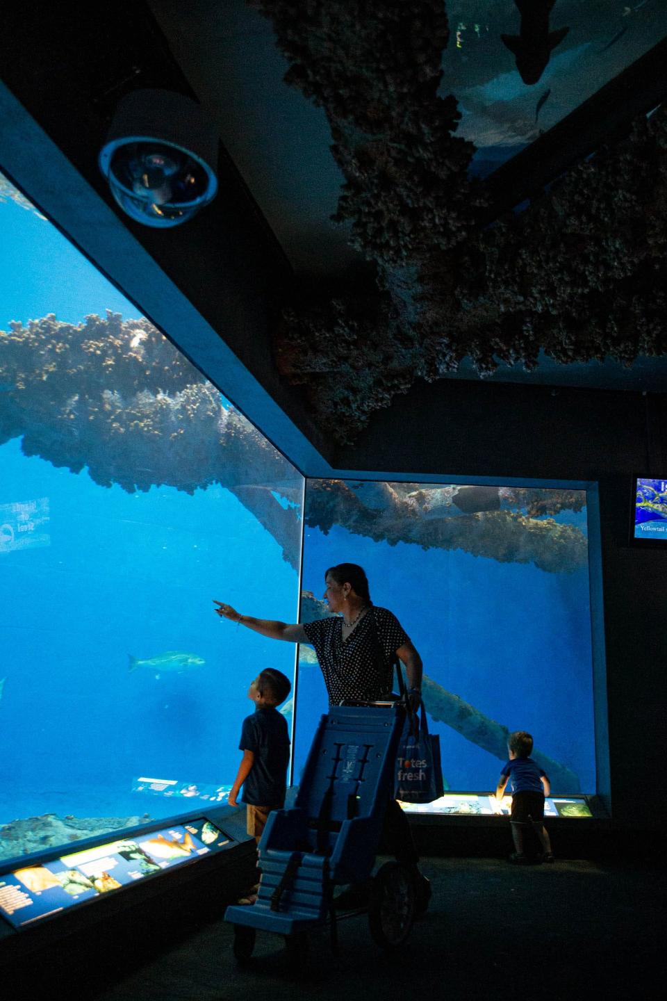 Sylvia Rodriguez and grandson Liam Ryan Kassner look at an exhibit on Aug. 13, 2022, at the Texas State Aquarium in Corpus Christi, Texas. 