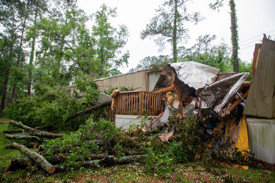 The large tree that crushed Carolyn Benton during the tornadoes that tore through Tallahassee on Friday morning, May 10, 2024, is cut into pieces and still lays on the trailer where Benton lived with her fiance, Ed Sutton.