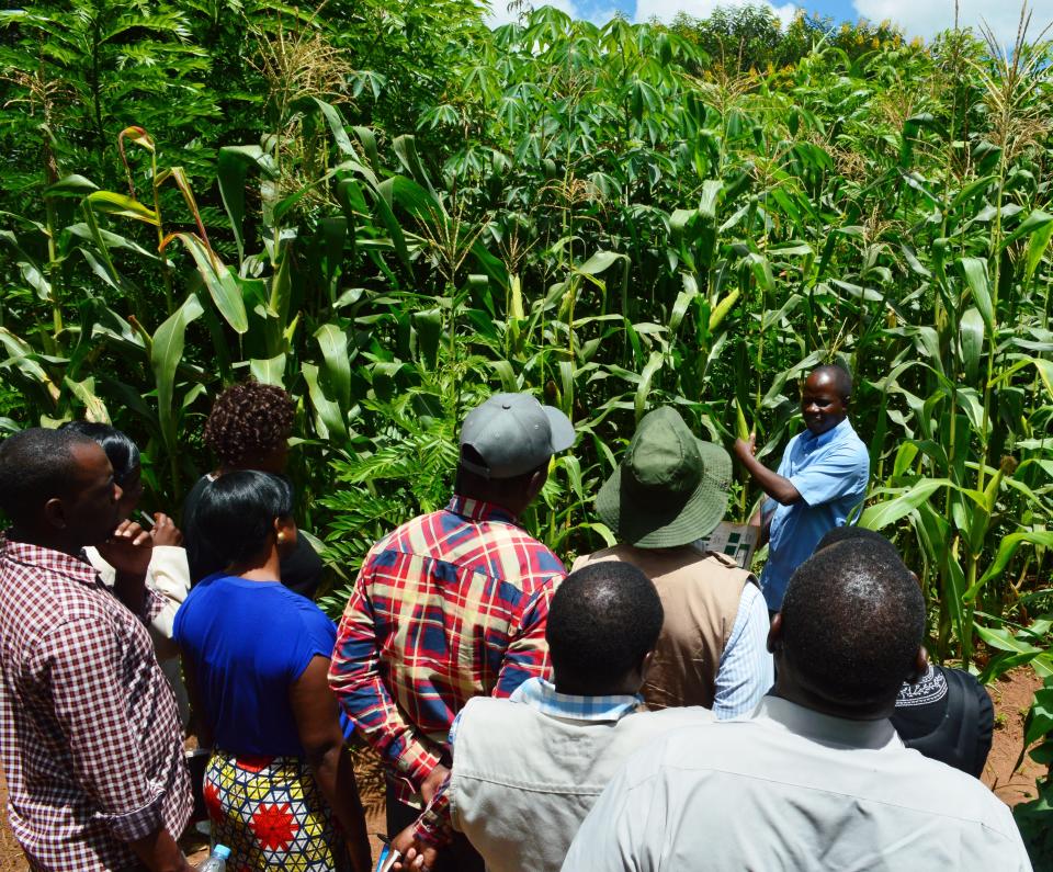 Never Ending Food&rsquo;s manager, Peter Kaniye, teaching a group of Malawian agriculture workers about permaculture. (Photo: Never Ending Food)