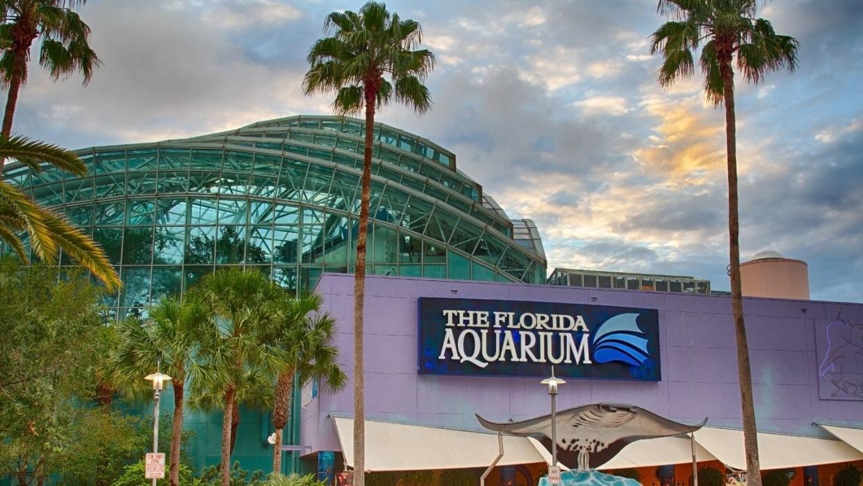 florida aquarium