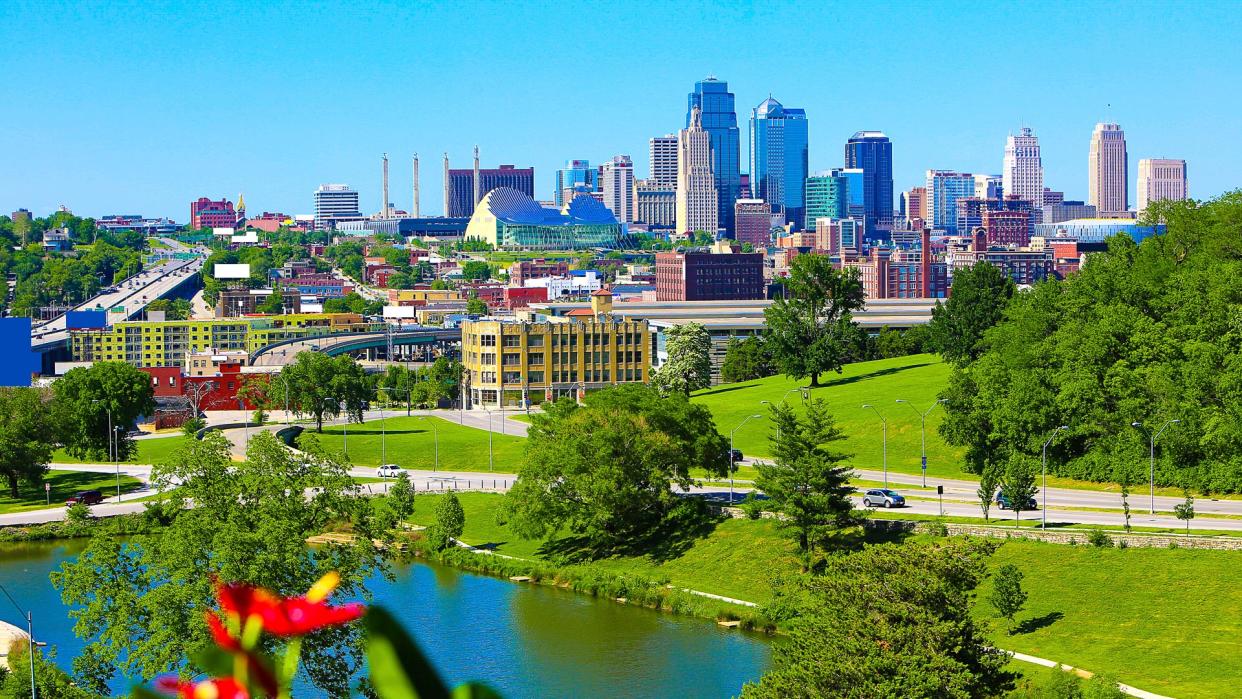 tropical plant by KCMO skyline.