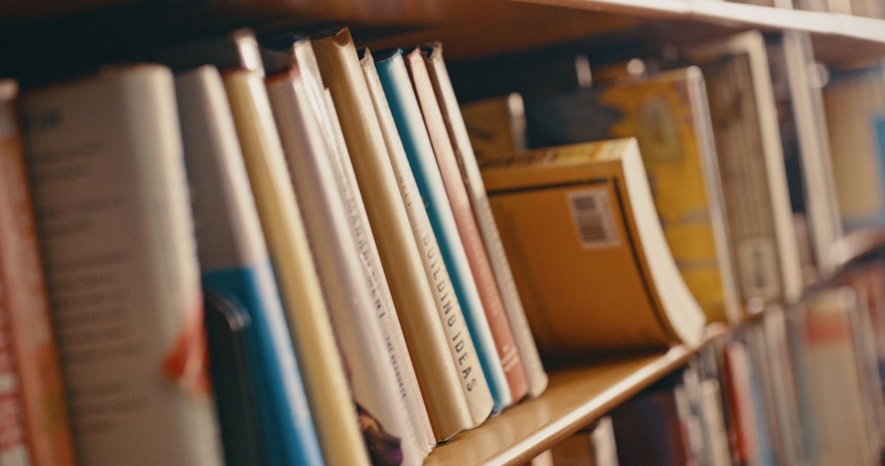 Library, research and row of books on bookshelf for reading, knowledge and educational learning. University bookstore, information and zoom of shelves with textbook, academic journal or literature