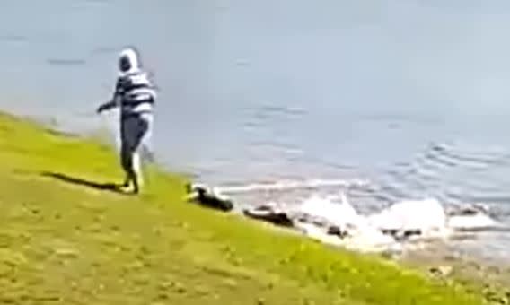 女子在湖邊遛狗被鱷魚咬死。（圖／翻攝自推特）