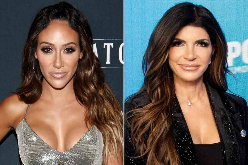 Brian Ach/Getty; Lars Niki/E! Entertainment/NBCU Photo Bank via Getty  Melissa Gorga and Teresa Giudice