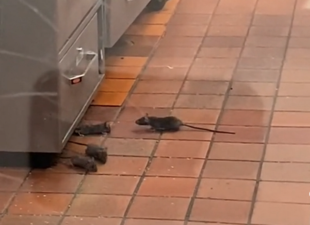 Disturbing Video Shows Rat in Raising Cane's Chicken