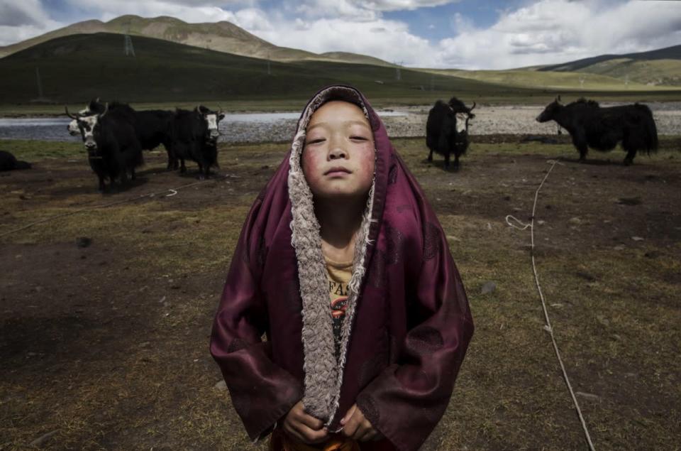 Nomadic Life Threatened on the Tibetan Plateau