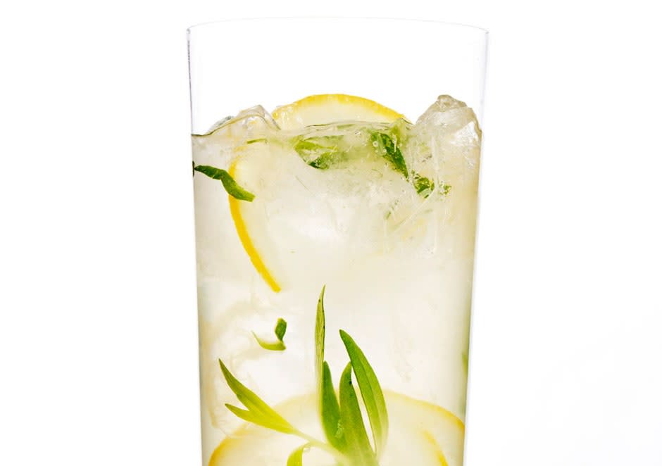 Sparkling Tarragon Gin Lemonade