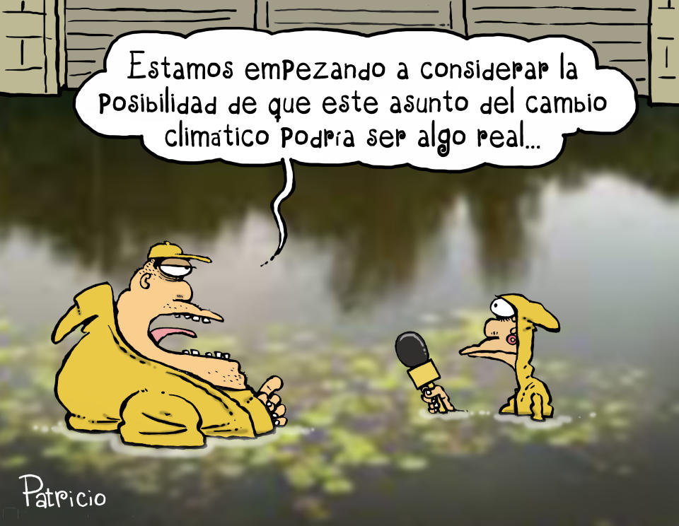 <p>Twitter: @patriciomonero / Facebook: Patricio Monero</p> 