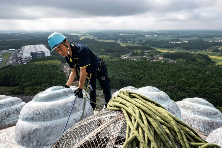 Each coil of curly hair on the giant Buddha statue is one metre wide (Philip FONG)