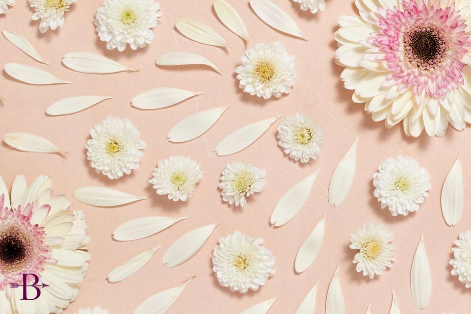 Flower Petals Background