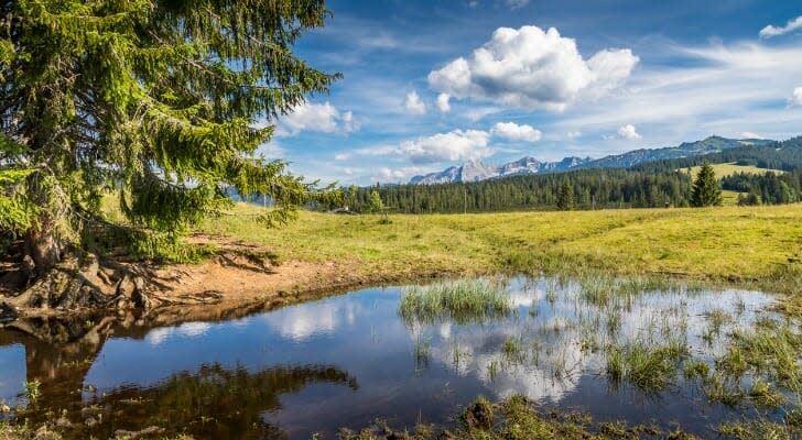 Paysage rural